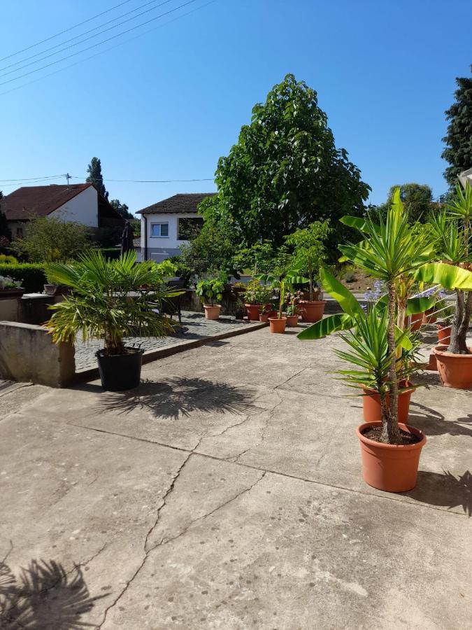 Ferienwohnung "Zum Alten Kuhstall" Oberhausen  Екстер'єр фото