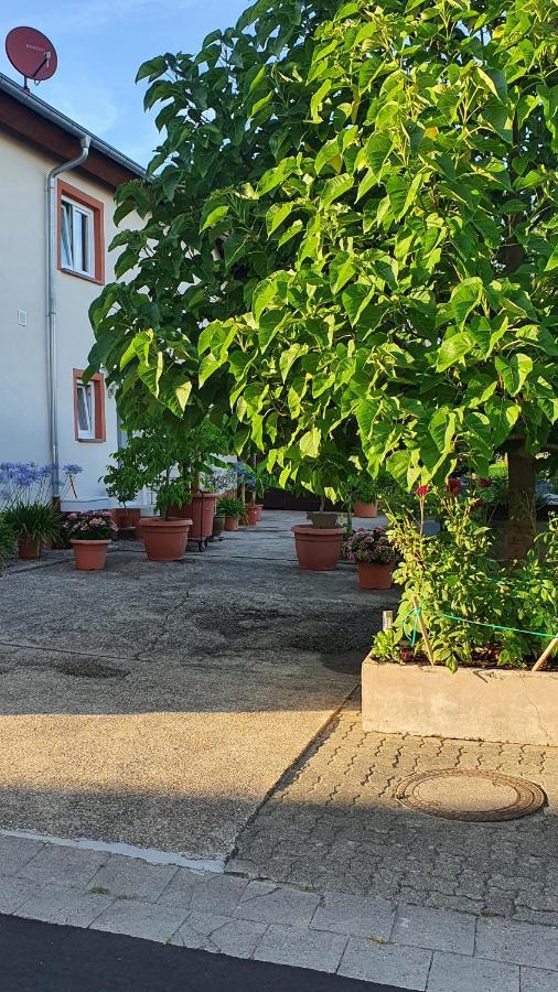 Ferienwohnung "Zum Alten Kuhstall" Oberhausen  Екстер'єр фото