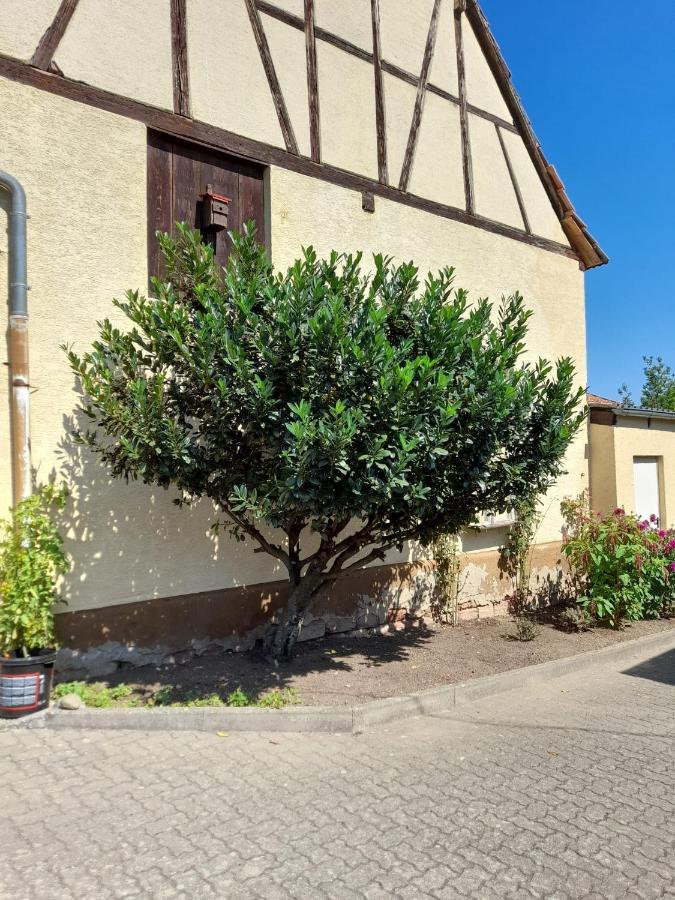 Ferienwohnung "Zum Alten Kuhstall" Oberhausen  Екстер'єр фото